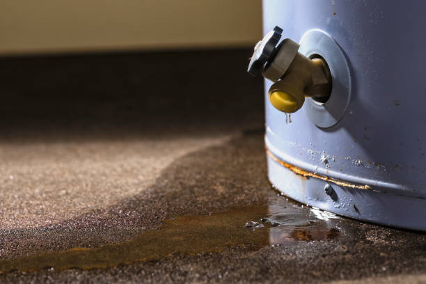 Best Basement water damage restoration  in Jasper, TN