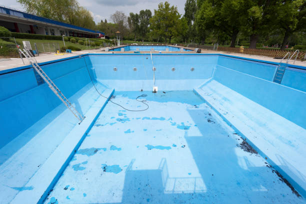 Best Mold removal after water damage  in Jasper, TN
