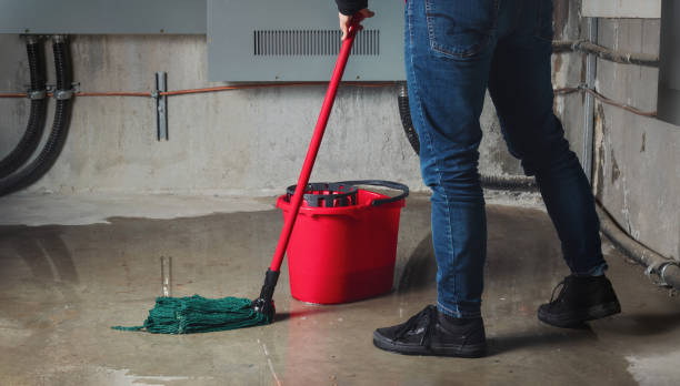 Best Commercial water damage restoration  in Jasper, TN