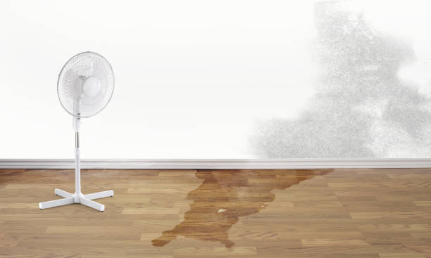 Best Flooded house restoration  in Jasper, TN