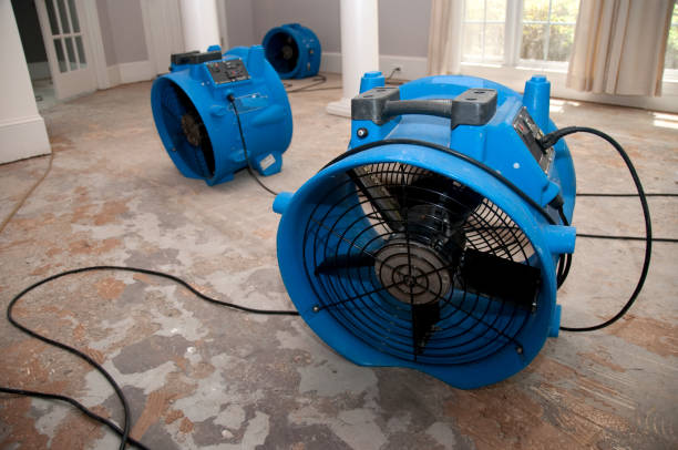 Best Water damage mitigation services  in Jasper, TN